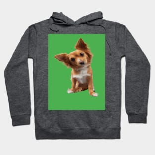 Little dog Hoodie